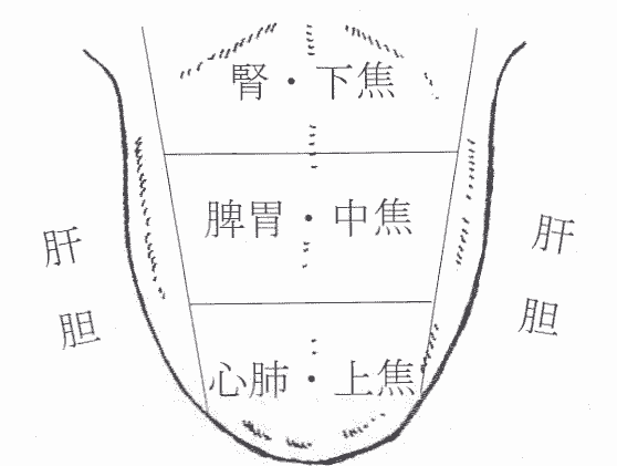 舌診