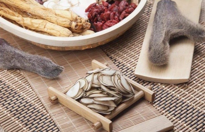鹿茸