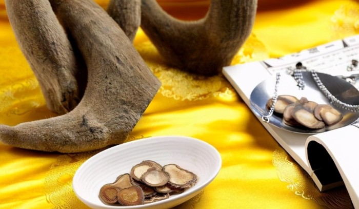 鹿茸怎麼吃
