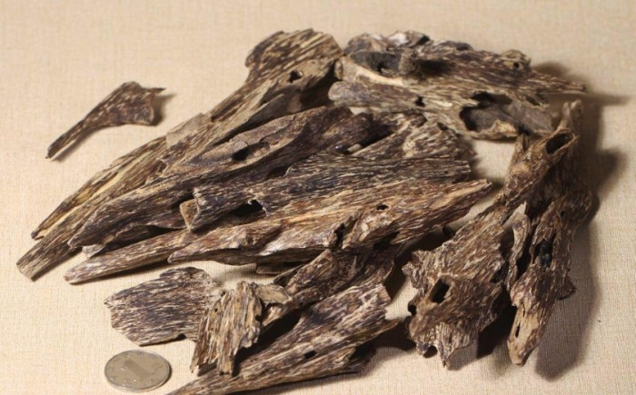 沉香種類
