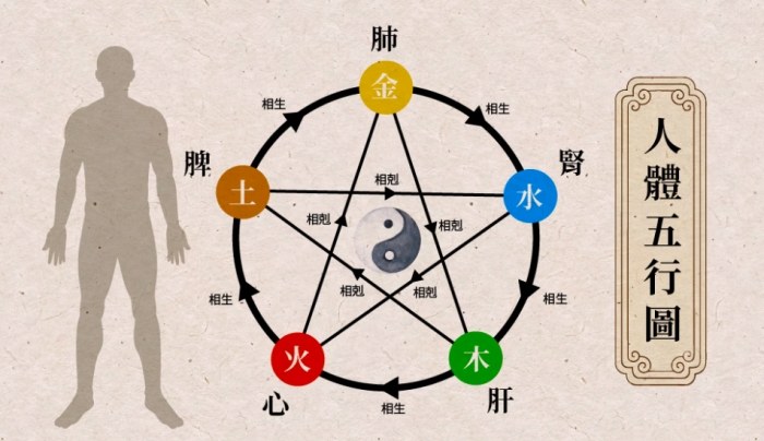 脾胃不好的原因