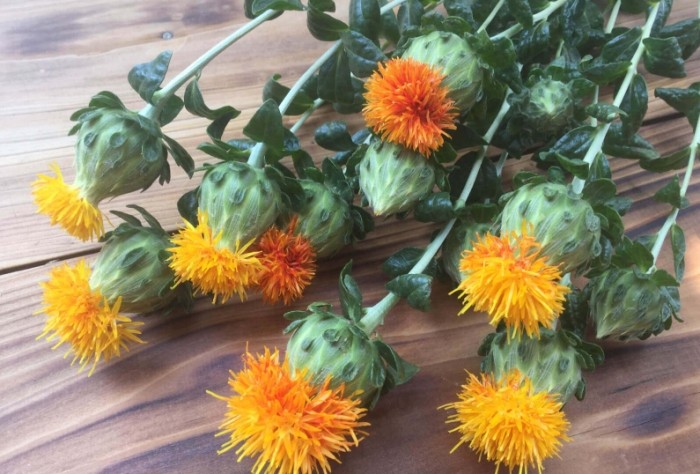 紅花