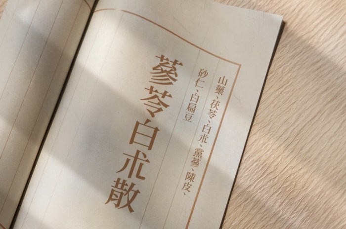 脾胃是什麼