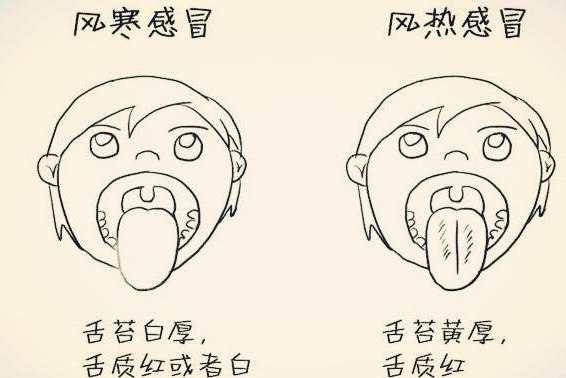 舌苔白厚有裂紋