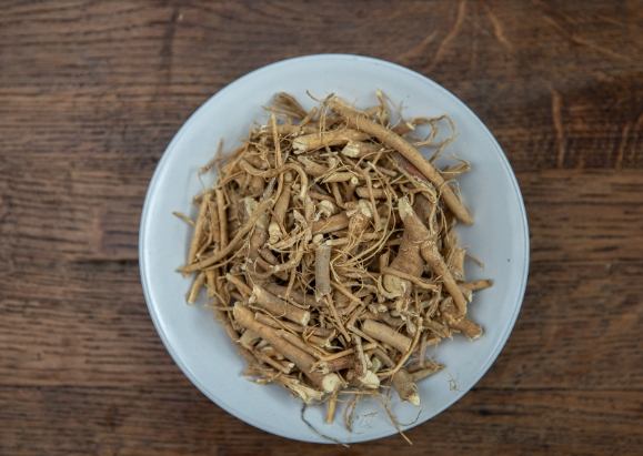 九尾草功效禁忌