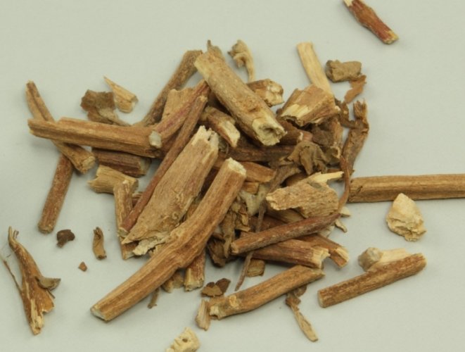 藿香中藥全攻略：功效、用法與常見問題一次看懂