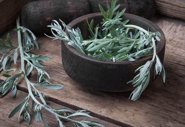 艾草功效與禁忌