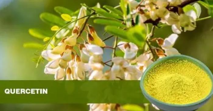 槲皮素好處