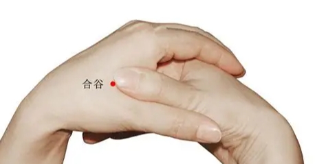合谷穴位置