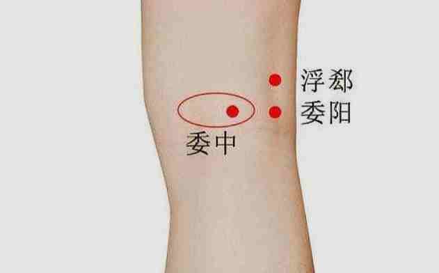 委中穴位置