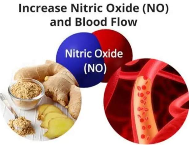 一氧化氮功效 一氧化氮功效