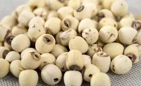 清心蓮子飲功效