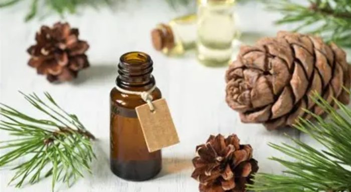 雪松精油好處