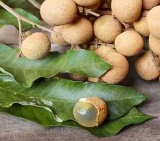 龍眼蜜好處 龍眼蜜好處