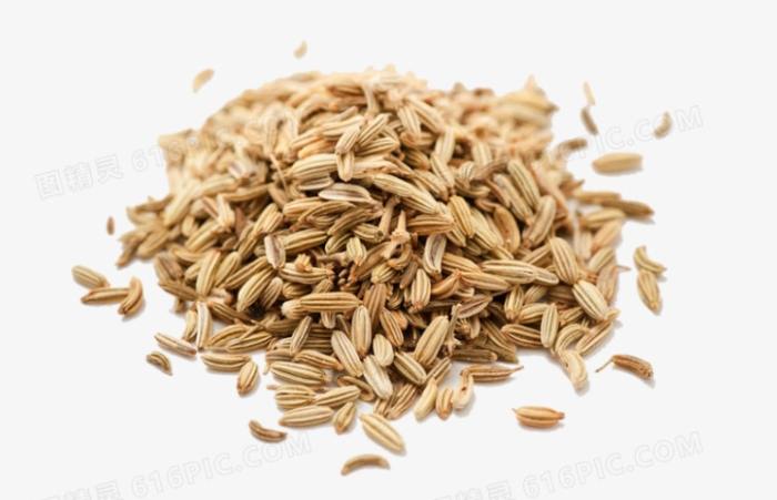 小茴香功效