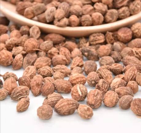 益智仁不良反應