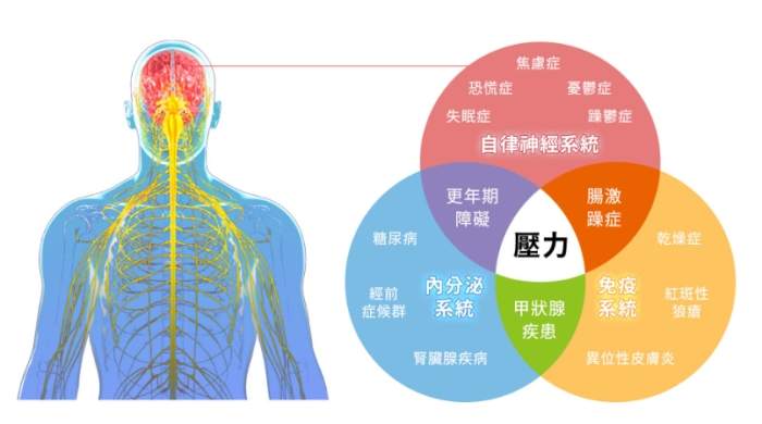 自律神經失調 中醫 西醫 比較 自律神經失調 中醫 西醫 比較