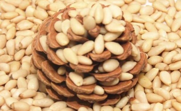 松子仁營養價值