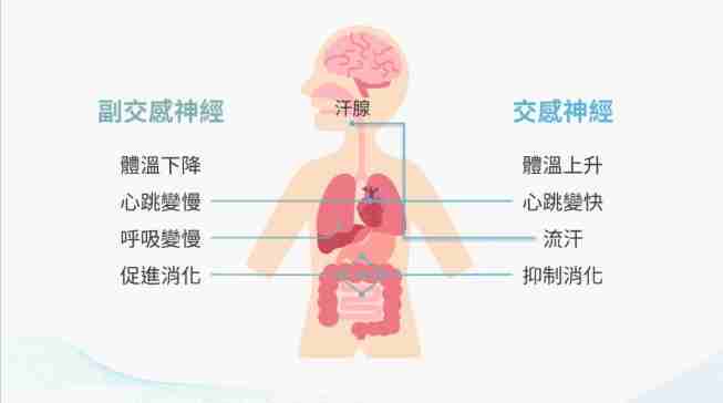 自律神經失調恢復時間 自律神經失調恢復時間