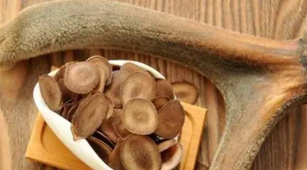 鹿茸萃取物功效