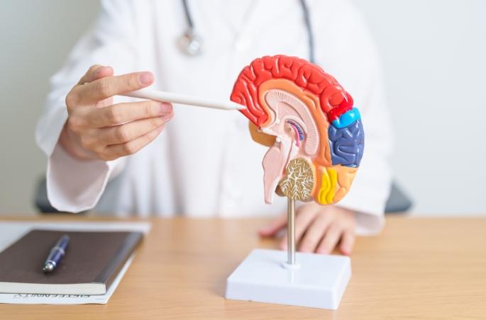 腦神經受損康復