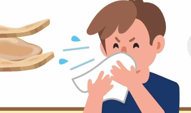 中藥治療過敏性鼻炎