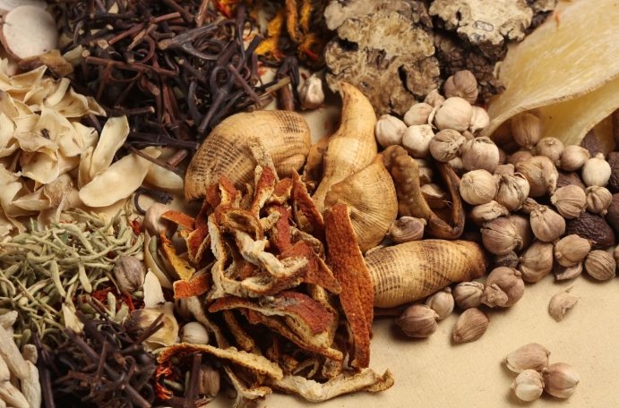 中藥治療支氣管炎