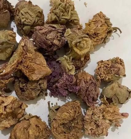 山芙蓉功效 山芙蓉功效