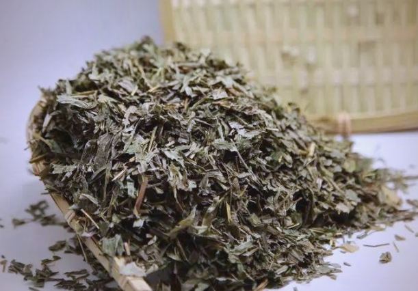 鳳尾草中藥功效