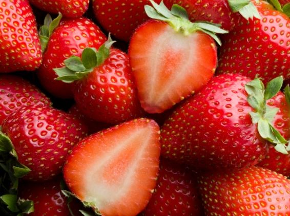 草莓營養