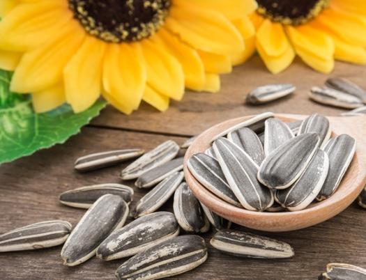 葵瓜子營養
