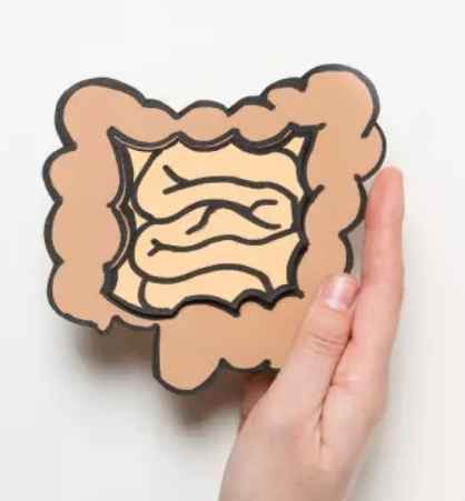 中藥治療腸躁症