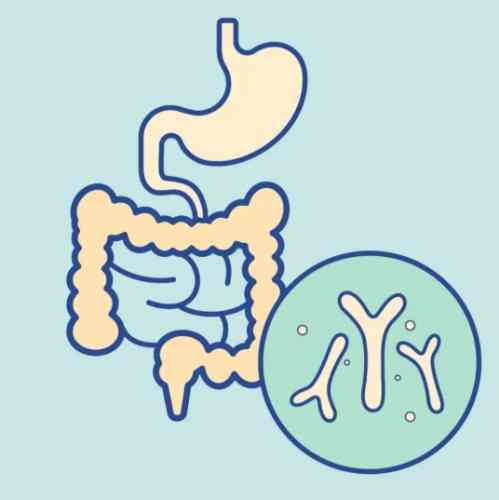 改善皮膚過敏益生菌