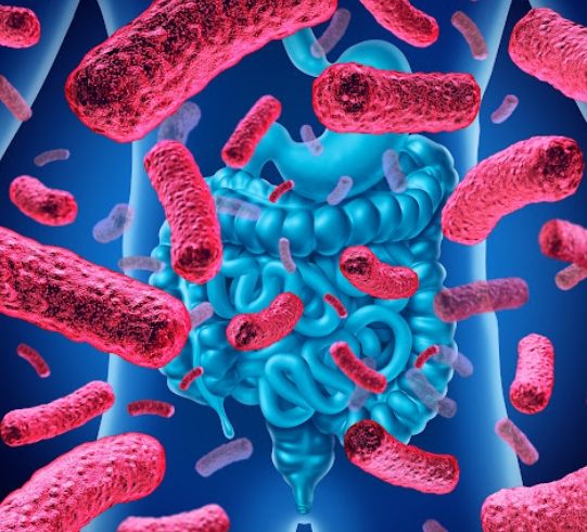 皮膚過敏益生菌 皮膚過敏益生菌