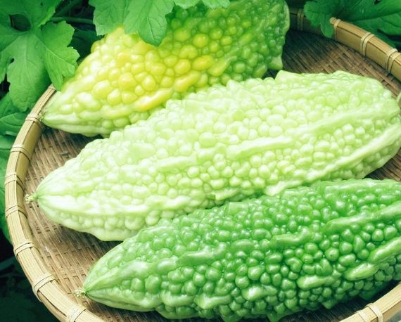 早上吃苦瓜好處 早上吃苦瓜好處