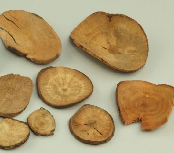 烏藥不良反應 烏藥不良反應