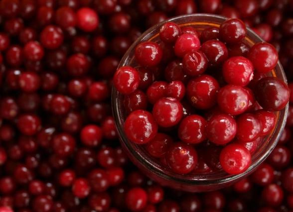 蔓越莓好處