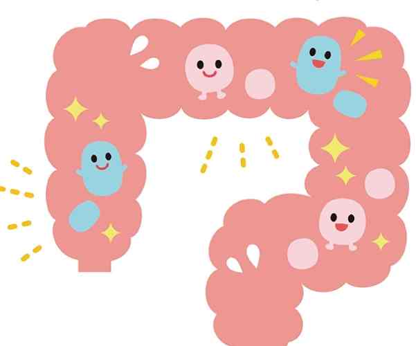 過敏益生菌菌種推薦