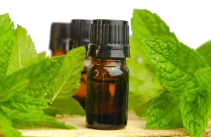 百靈油使用方式