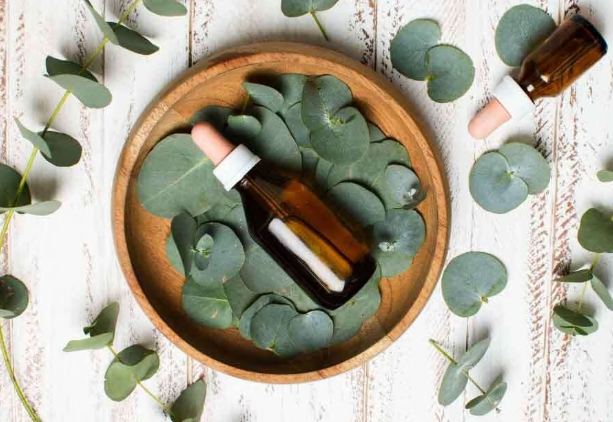 尤加利精油使用方法