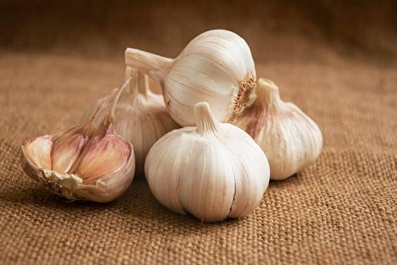 大蒜禁忌搭配 大蒜禁忌搭配