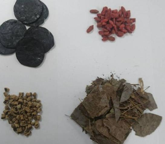 補腎氣中藥全攻略：功效、方劑與常見問題深度解析