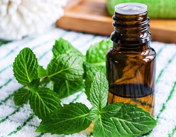 薄荷精油好處