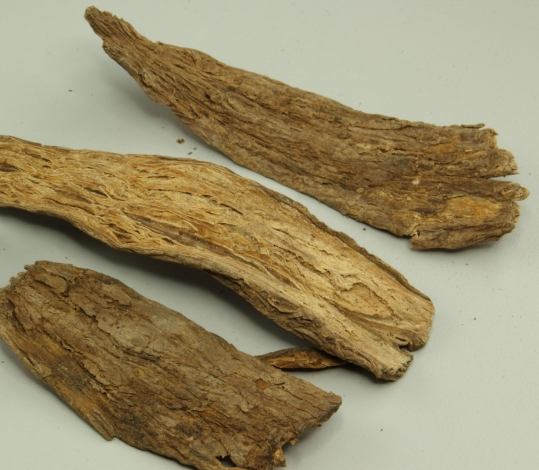 杜仲續斷牛膝功效