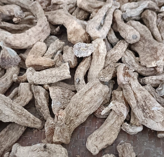 天麻減重 天麻減重