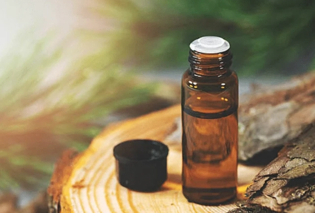 松樹皮萃取好處