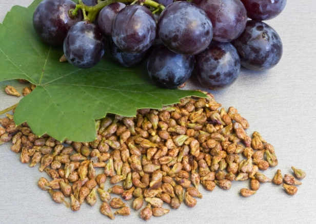 葡萄籽好處