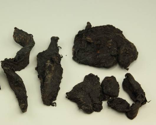 肉蓯蓉使用方法