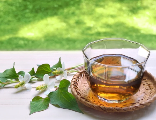 魚腥草茶每天喝