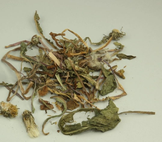 蒲公英健康益處